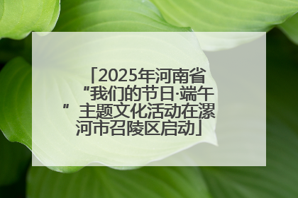 2025年河南省“我们的节日·端午”主题文化活动在漯河市召陵区启动